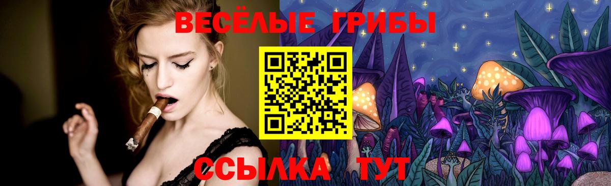 Сургут  Псилоцибиновые грибы Cubensis  Вход с VPN  Псилоцибиновые грибы Psilocybine cubensis 